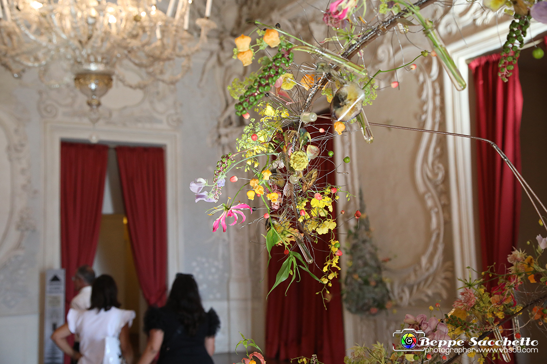 VBS_0129 - Corollaria Flower Exhibition 2022.jpg